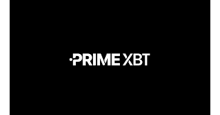 PrimeXBT vs Pocket Option Comprehensive Comparison Guide