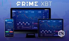 PrimeXBT vs Pocket Option Comprehensive Comparison Guide